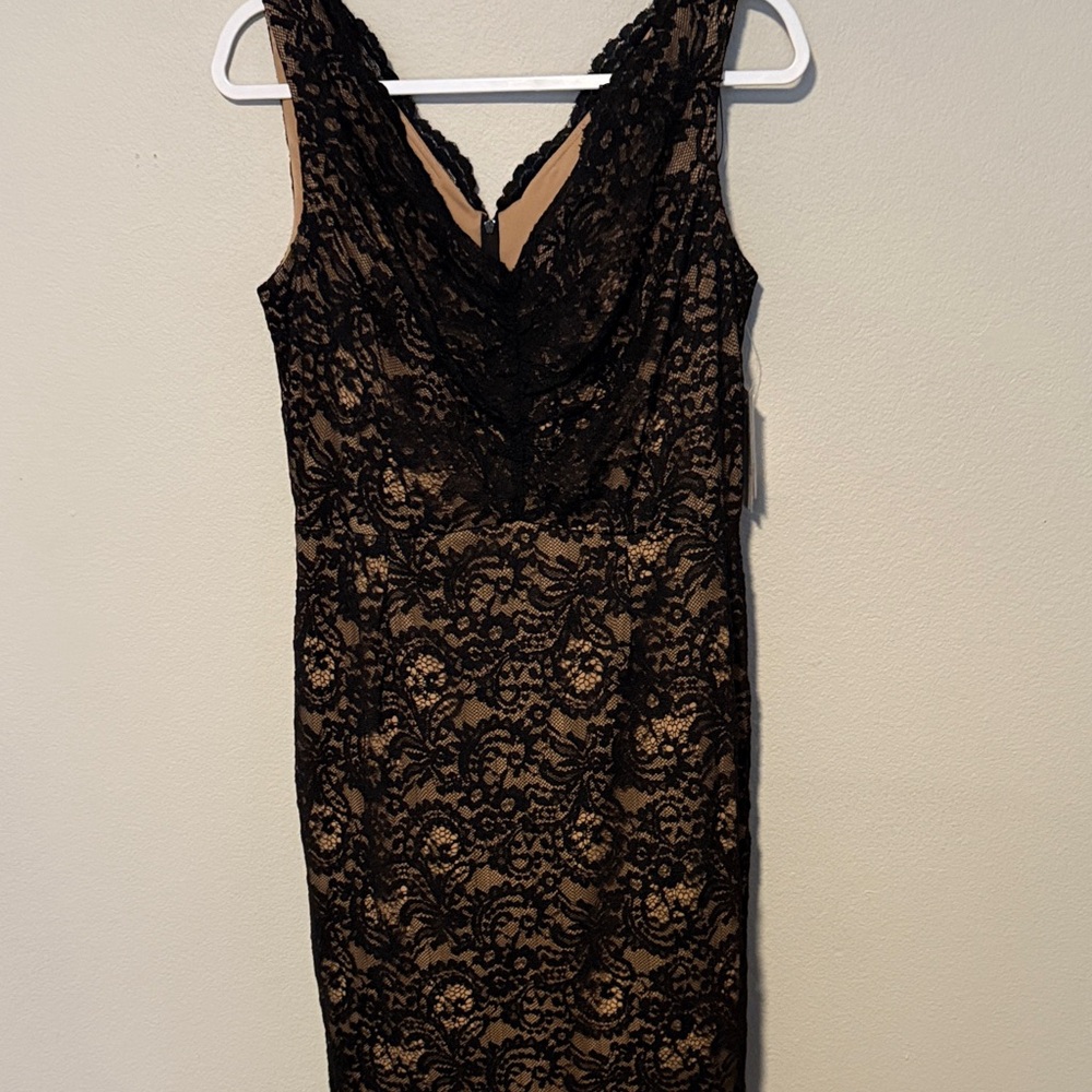 Alex Evenings Black Lace Gown